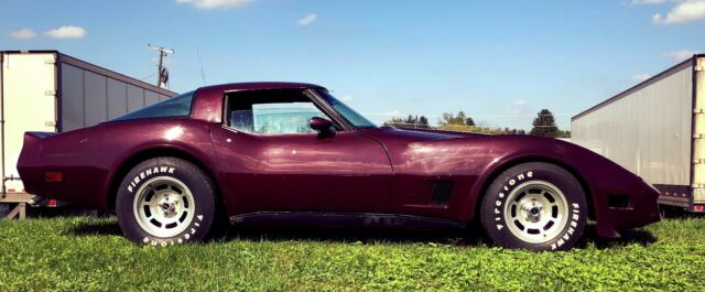 1981 Chevrolet Corvette - photo 11