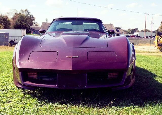 1981 Chevrolet Corvette - photo 2
