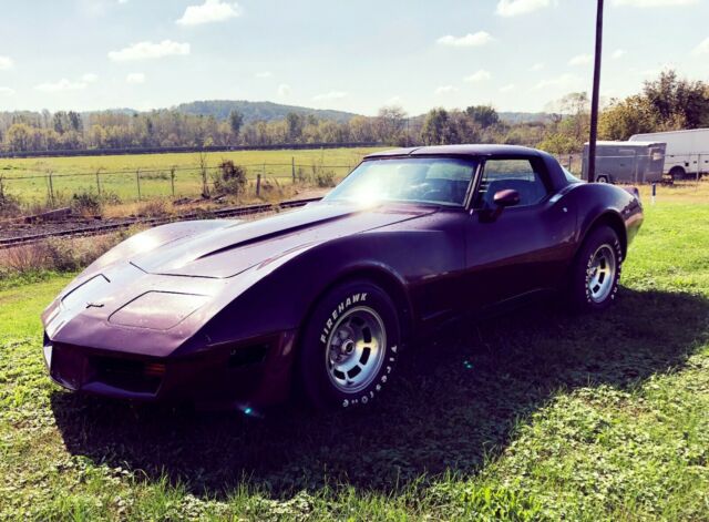 1981 Chevrolet Corvette - photo 5