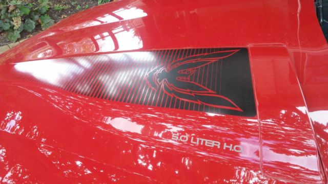 1984 Pontiac Trans Am - photo 8