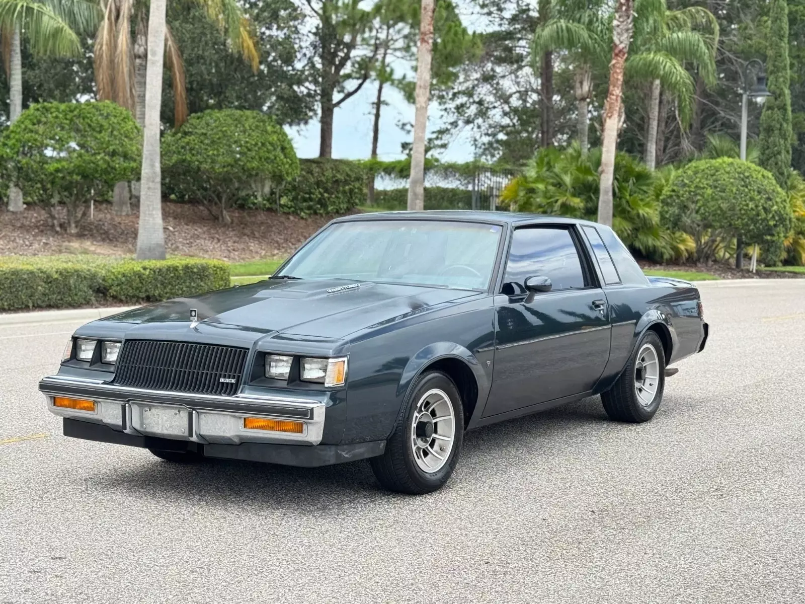 1987 Buick Regal Type-T Grand National GNX Limited Muscle Car - photo 2