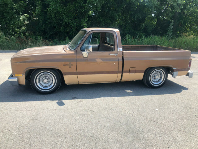 1981 Chevrolet C-10 Cheyenne, SWB, Patina, Slammed, Lowered, Ratrod. - photo 2