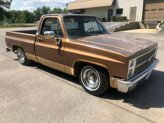 1981 Chevrolet C-10 Cheyenne, SWB, Patina, Slammed, Lowered, Ratrod. - photo 3