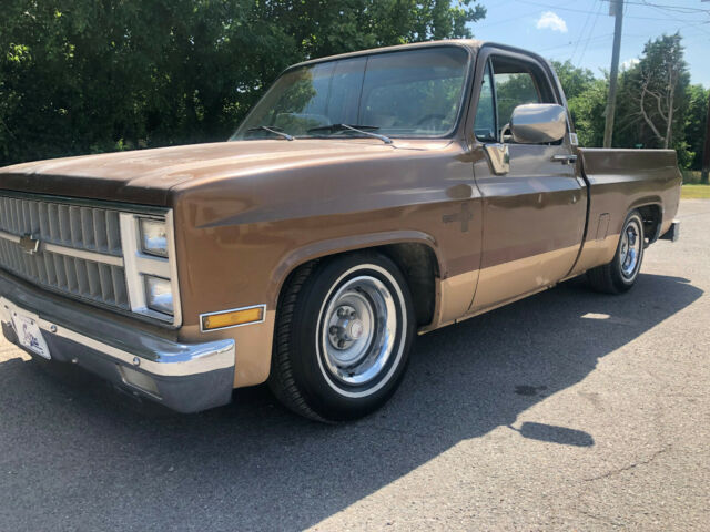 1981 Chevrolet C-10 Cheyenne, SWB, Patina, Slammed, Lowered, Ratrod. - photo 8