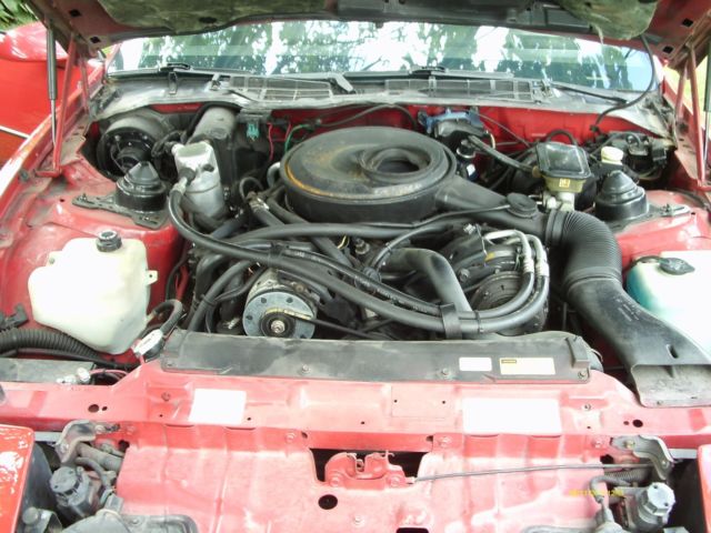 1984 Pontiac Trans Am NO RESERVE - photo 5