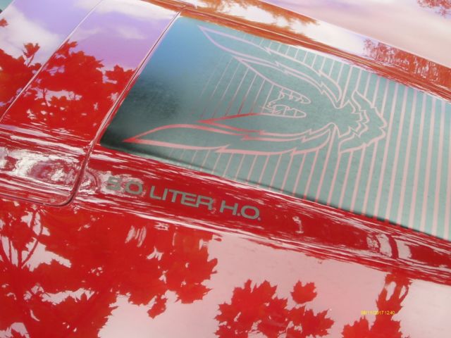 1984 Pontiac Trans Am NO RESERVE - photo 8