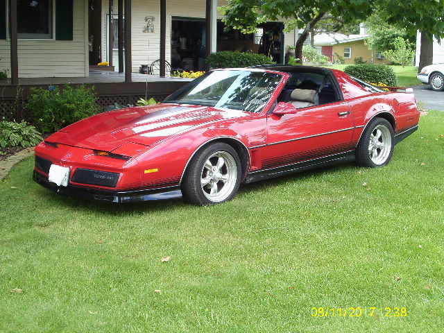 1984 Pontiac Trans Am NO RESERVE - photo 9
