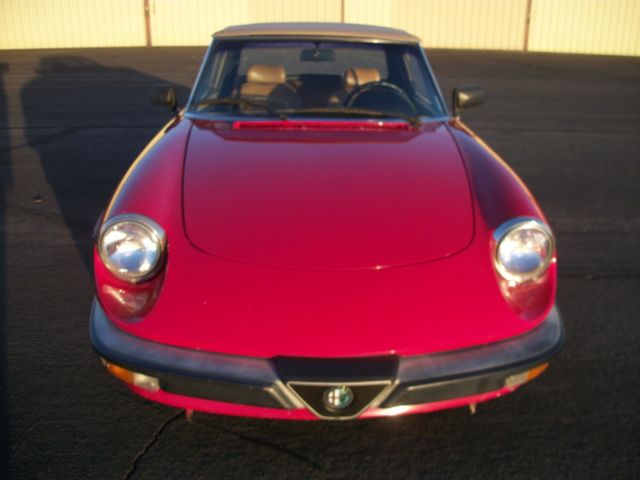 NO RESERVE Alfa Romeo Spider Graduate 1987 Alfa Romeo Spider