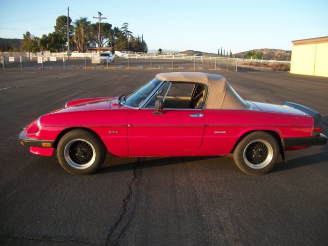 1987 Alfa Romeo Spider - photo 2