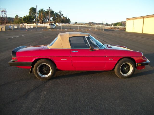 1987 Alfa Romeo Spider - photo 3