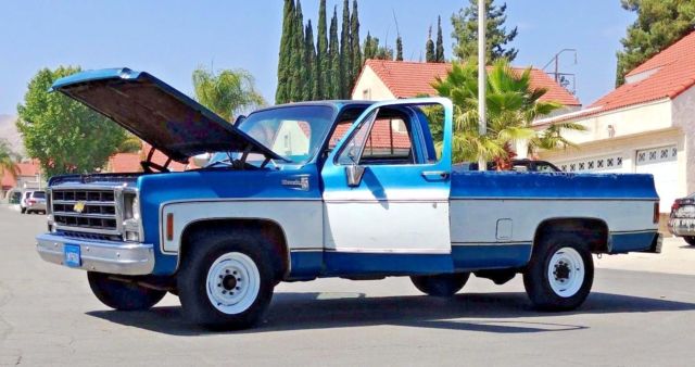 NO RESERVE C2O SILVERADO PACKAGE ORIGINAL PATINA 350 V8 RUNS AND DRIVES GREAT 1979 Chevrolet C-10 C20 SILVERADO PACKAGE PATINA