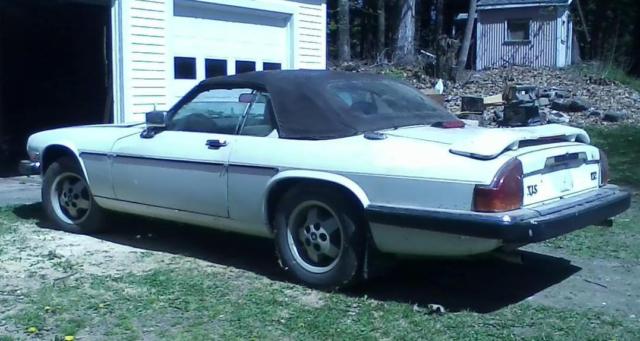 1989 Jaguar XJS XJS XJ12 Coupe Convertable - photo 3