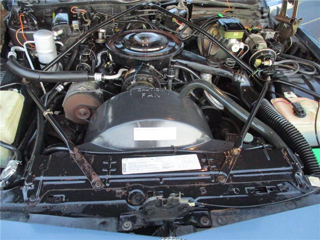 1984 Cadillac DeVille 1984 Cadillac Deville FLEETWOOD BROUGHAM 1 OWNER! - photo 12