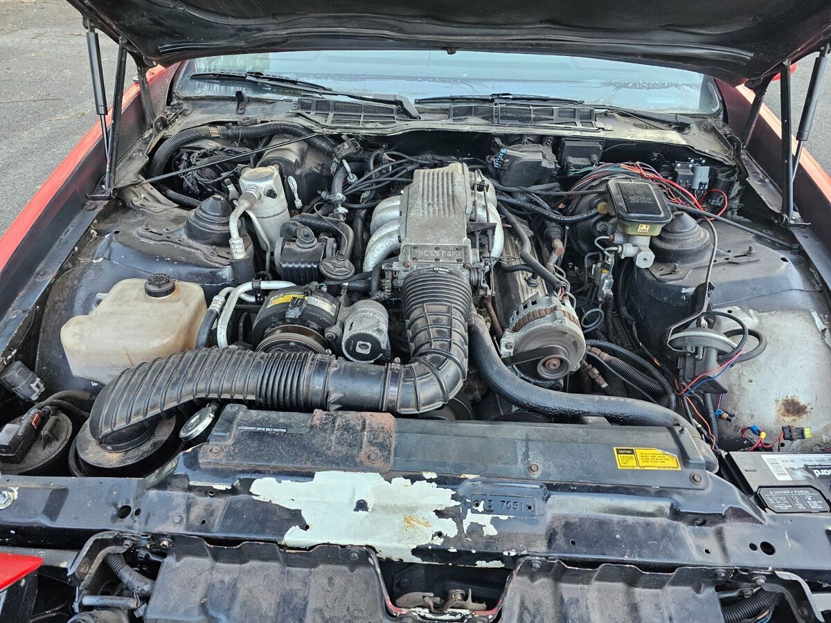 1988 Pontiac Trans Am - photo 8