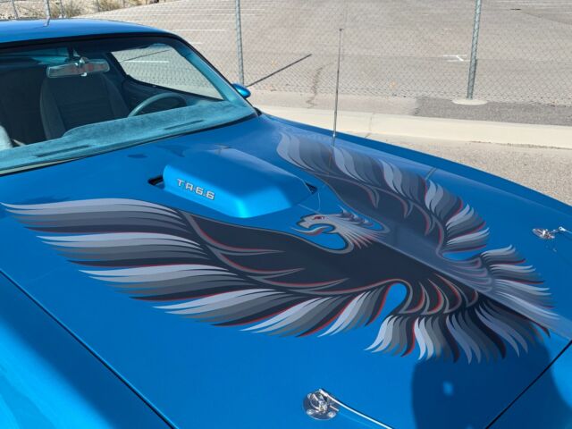 1979 Pontiac Trans Am TRANS AM - photo 11