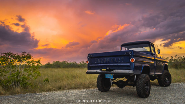 1959 Chevrolet Other Pickups FLEETSIDE - photo 2