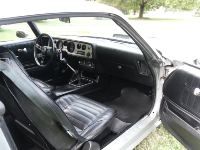 1975 Pontiac Trans Am Trans Am - photo 11