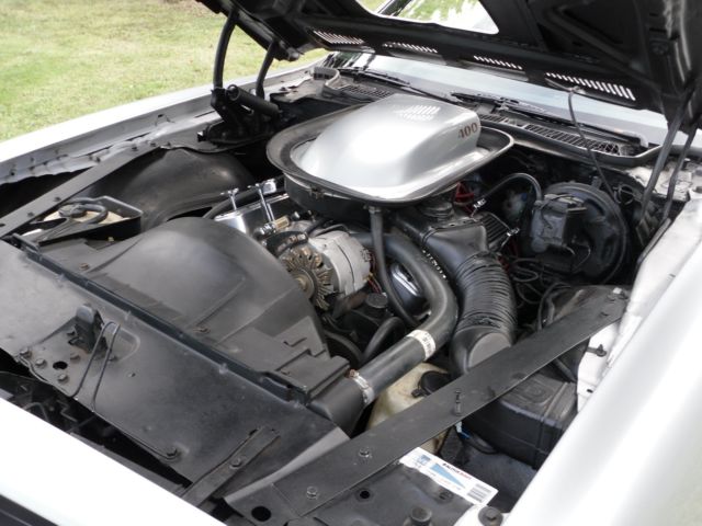 1975 Pontiac Trans Am Trans Am - photo 13