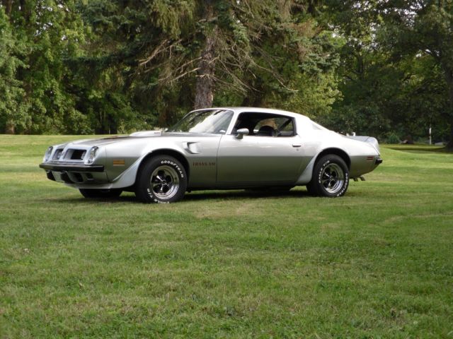 1975 Pontiac Trans Am Trans Am - photo 4