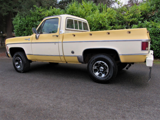 1978 Chevrolet C-10 Cheyenne - photo 10