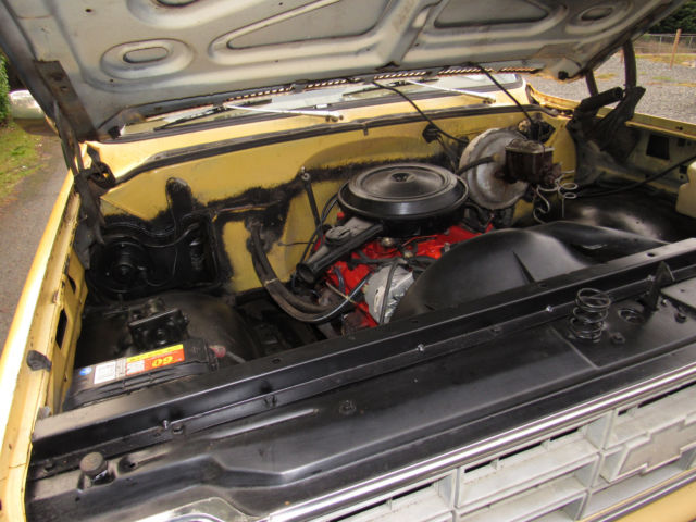 1978 Chevrolet C-10 Cheyenne - photo 13