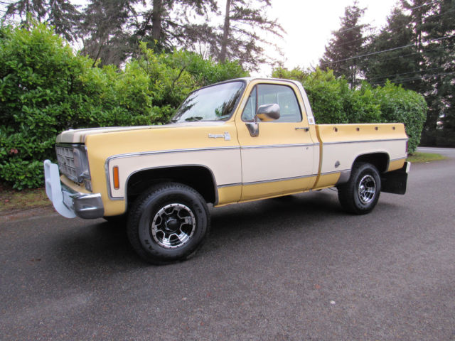 1978 Chevrolet C-10 Cheyenne - photo 2
