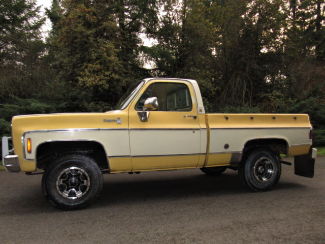 1978 Chevrolet C-10 Cheyenne - photo 3