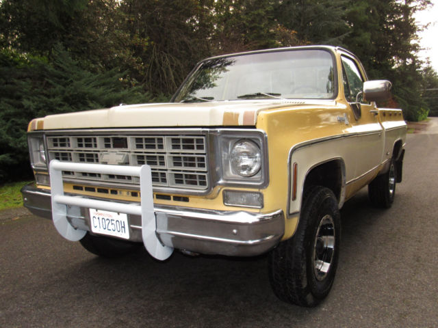 1978 Chevrolet C-10 Cheyenne - photo 4