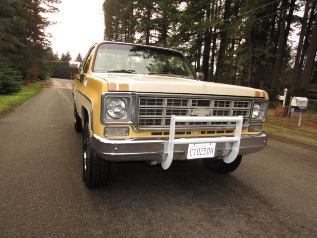 1978 Chevrolet C-10 Cheyenne - photo 5