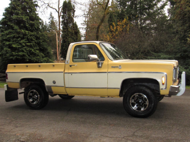 1978 Chevrolet C-10 Cheyenne - photo 6