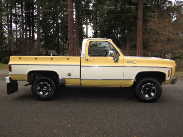 1978 Chevrolet C-10 Cheyenne - photo 7