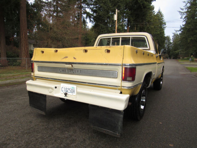 1978 Chevrolet C-10 Cheyenne - photo 8