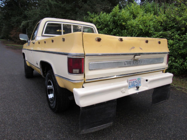 1978 Chevrolet C-10 Cheyenne - photo 9