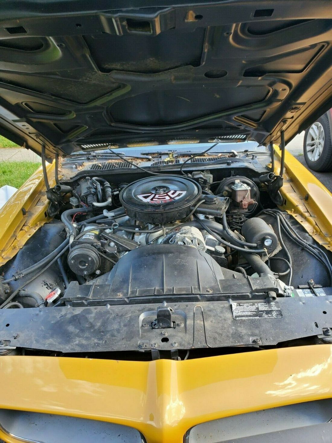 1971 Pontiac Firebird - photo 4