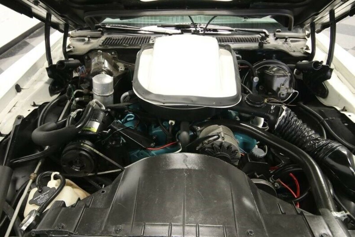 1977 Pontiac Firebird Trans Am - photo 4