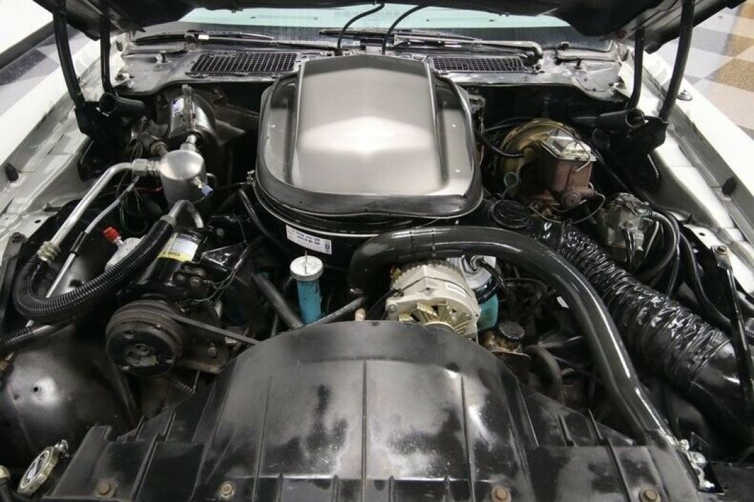 1979 Pontiac Firebird Trans Am 10th Anniversary Edition - photo 4