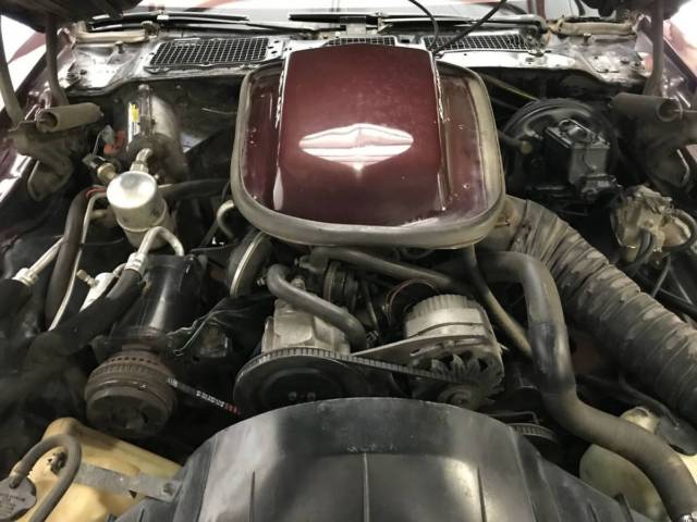 1980 Pontiac Trans Am T-TOPS - photo 11