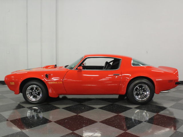 1975 Pontiac Firebird Trans Am - photo 2