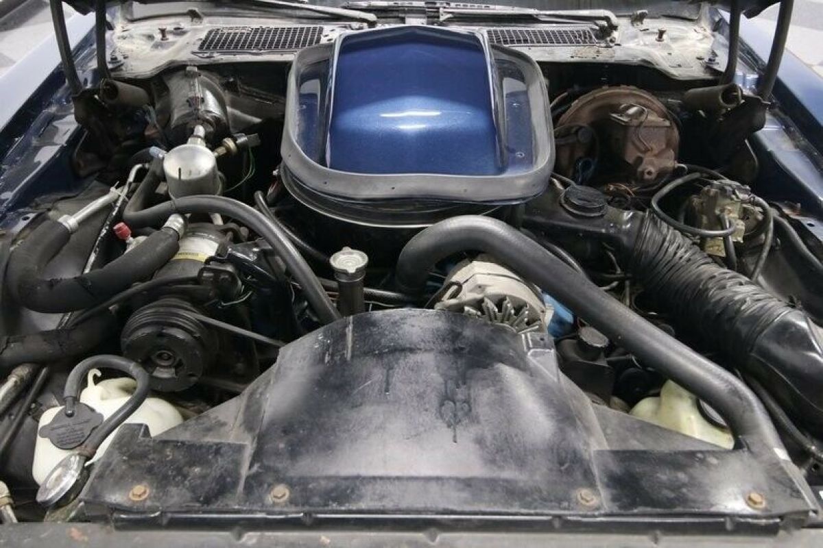 1979 Pontiac Firebird Trans Am - photo 4