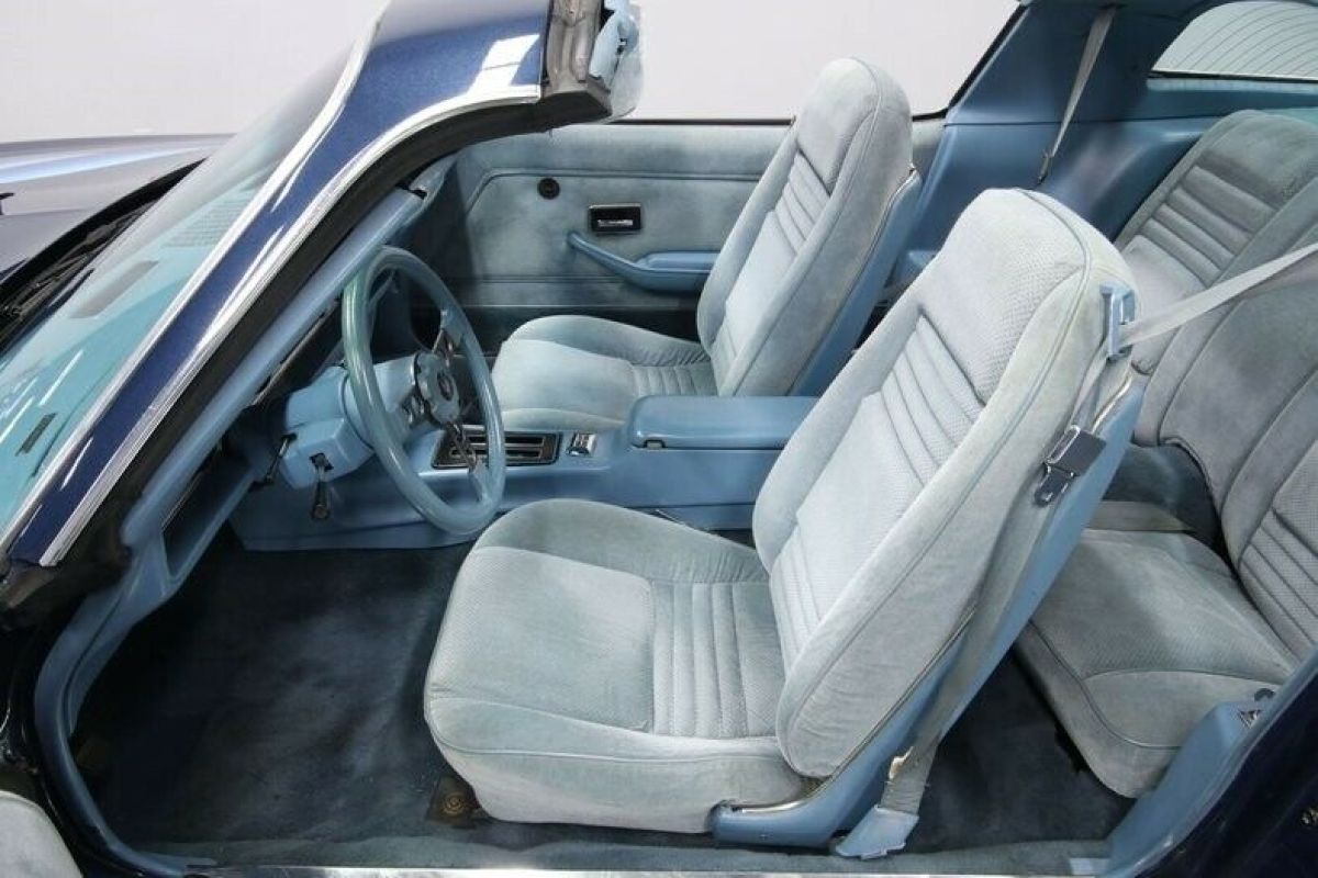 1979 Pontiac Firebird Trans Am - photo 5