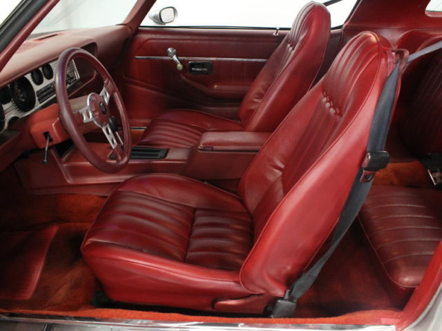 1979 Pontiac Firebird Trans Am - photo 4