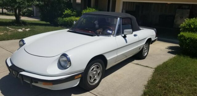 1985 Alfa Romeo Spider black - photo 2