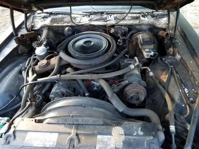 1981 Chevrolet Camaro Z28 - photo 3