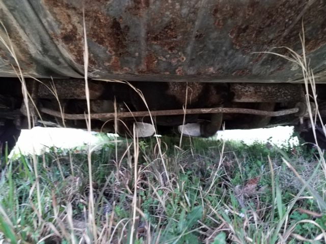 1981 Chevrolet Camaro Z28 - photo 8