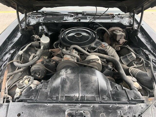 1980 Pontiac Firebird Formula - photo 12
