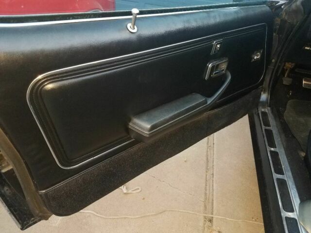 1979 Pontiac Trans Am - photo 10