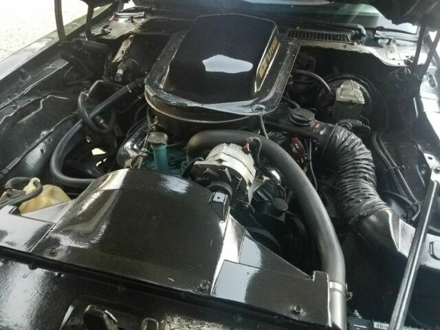 1979 Pontiac Trans Am - photo 11