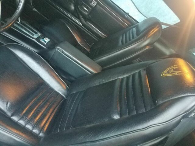 1979 Pontiac Trans Am - photo 4