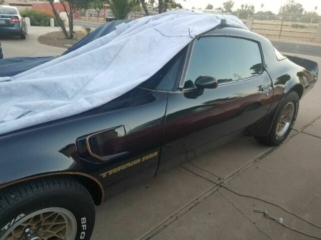 1979 Pontiac Trans Am - photo 6