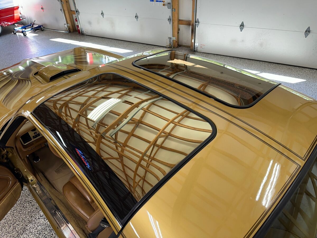 1978 Pontiac Firebird Trans AM Numbers Matching, Y88 Special Edition 6.6L V8 - photo 12